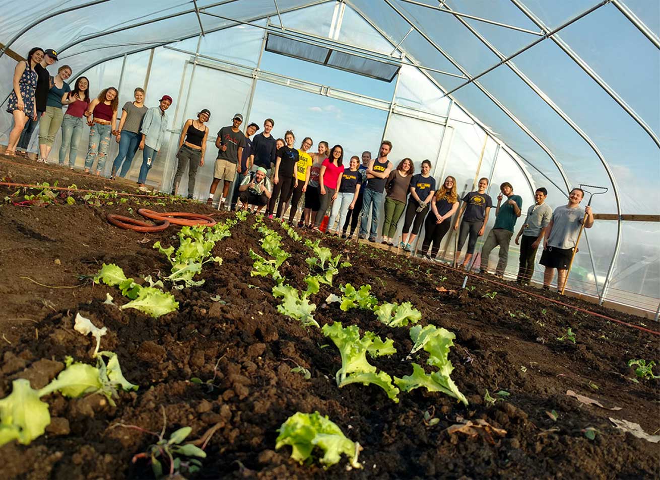 Students in a greenhouse